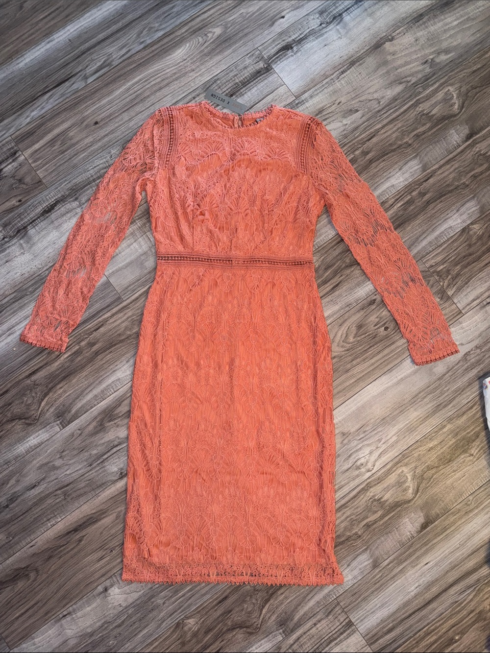 Love By Design Coral Lace Long-Sleeve Sheath Dress